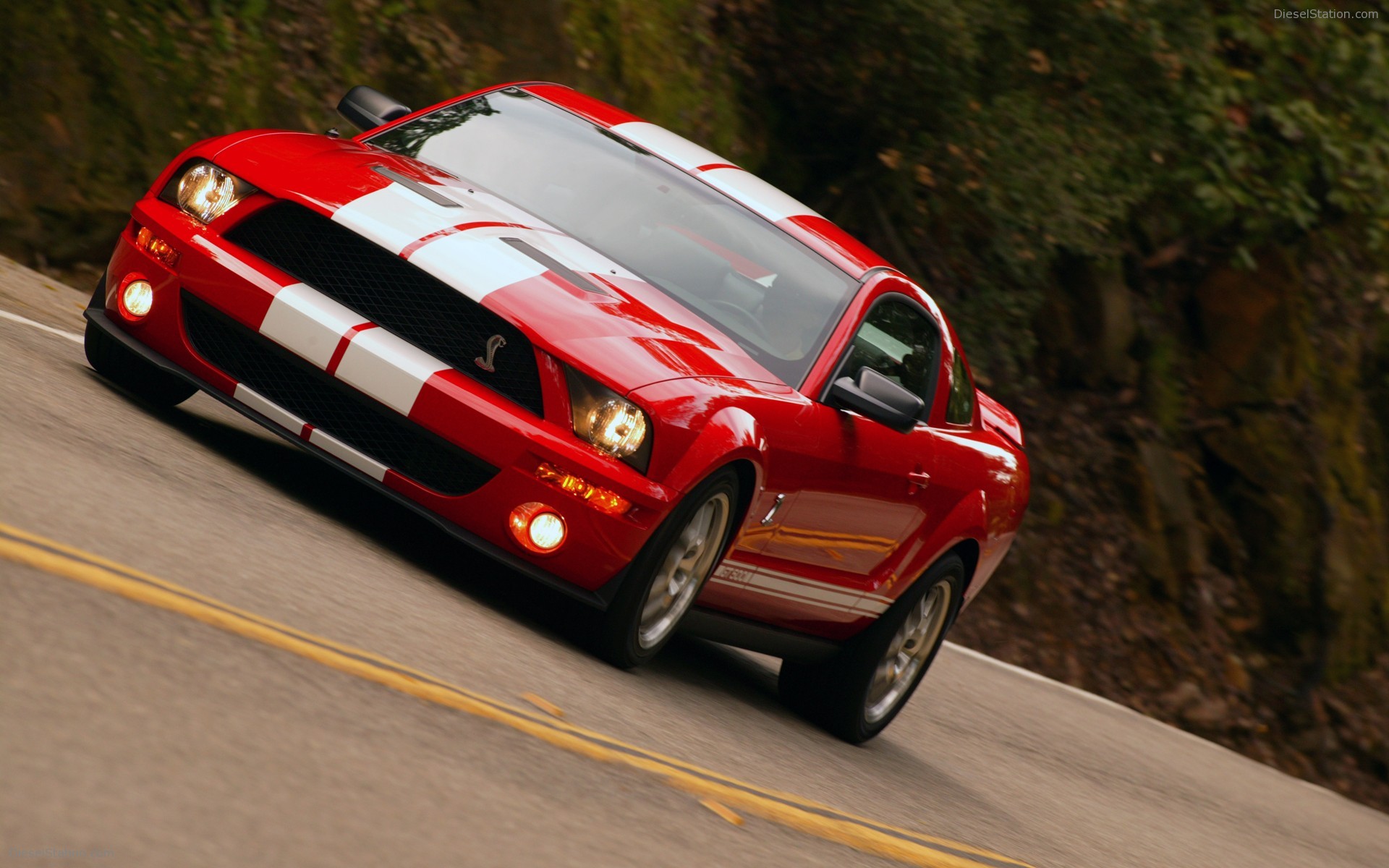 Ford Shelby Cobra GT500